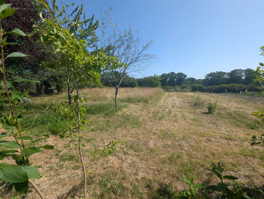 Maison de campagne avec vie de plain-pied ! - photo 18