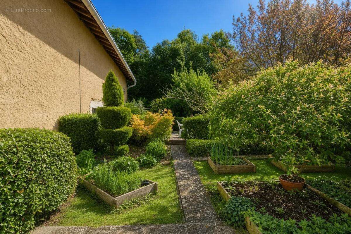 Maison F6 à Ville-sur-Yron avec jardin et garages - photo 2