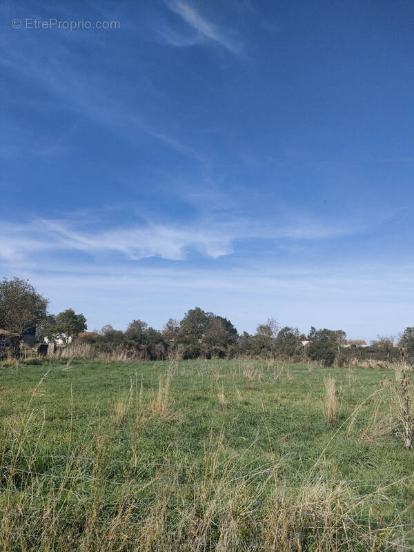 Terrain à SAINT-VIDAL