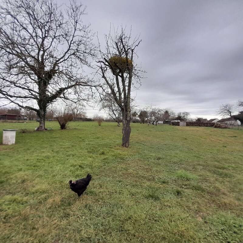 Maison à SAINT-MARCEL