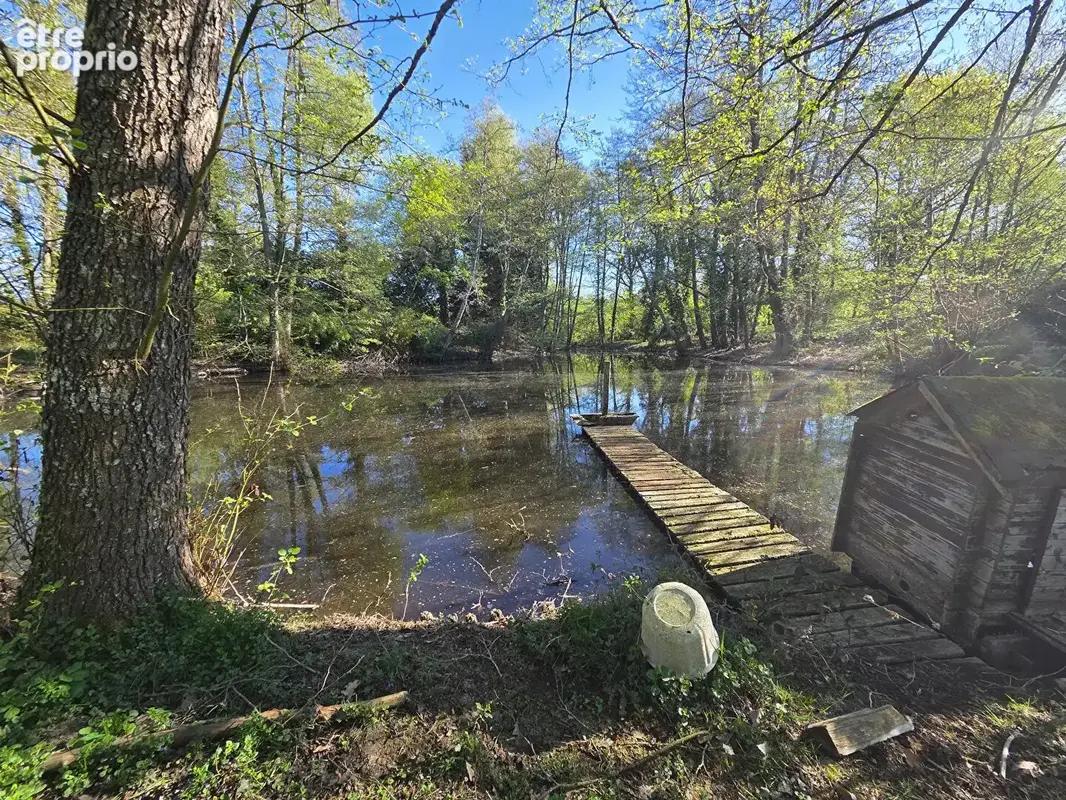 Maison 6 Chambres - 233 m² habitable, sur 1 hectare de terrain avec plan d'eau - photo 9