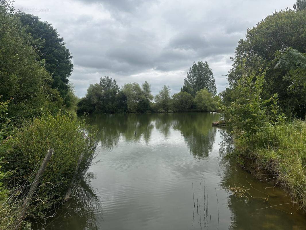 Terrain à SAINT-CYR-LA-ROSIERE