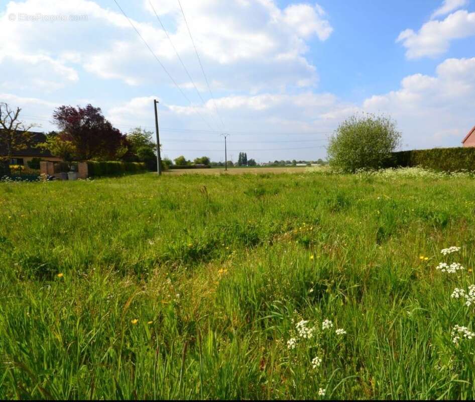 Terrain 760 m² à Orchies  - photo 2