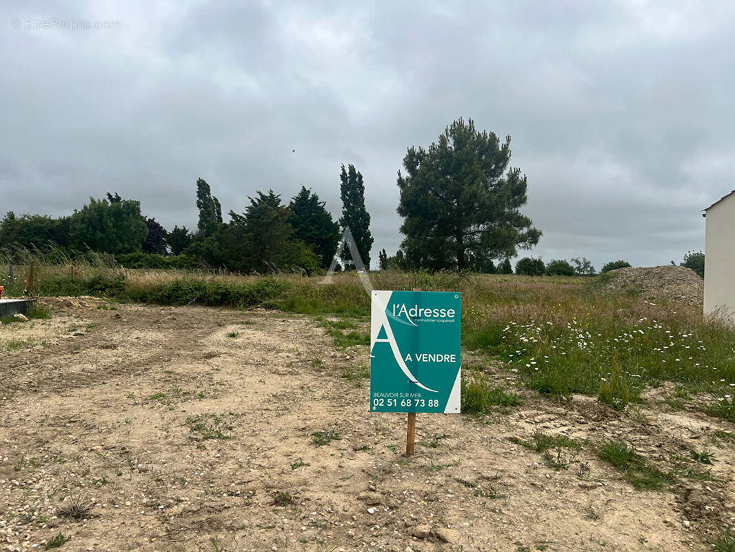 Terrain à BEAUVOIR-SUR-MER