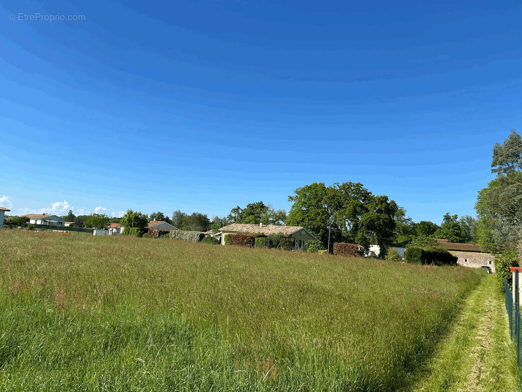 Terrain à PUJO-LE-PLAN