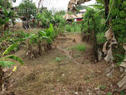 Terrain à SAINT-JOSEPH