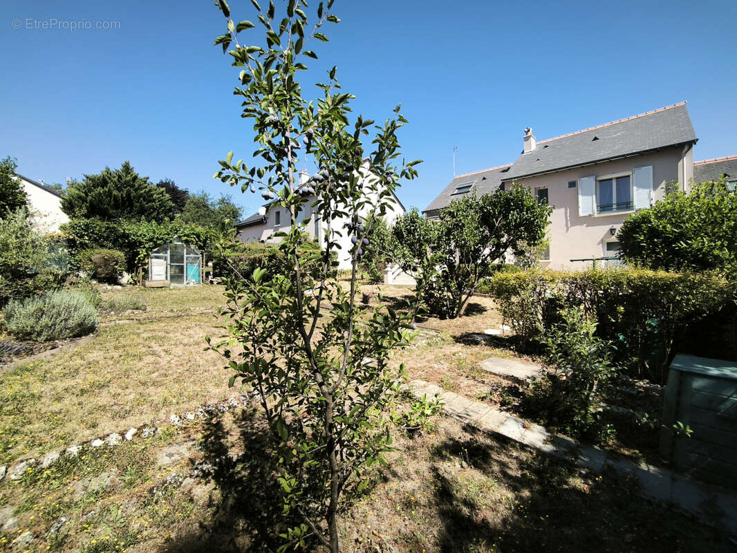 Maison à FONDETTES