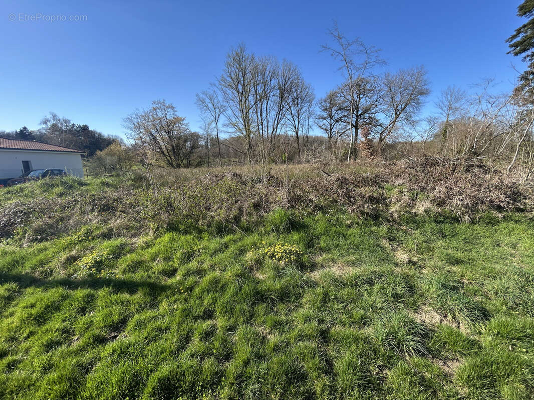 Terrain à BOISSEUIL