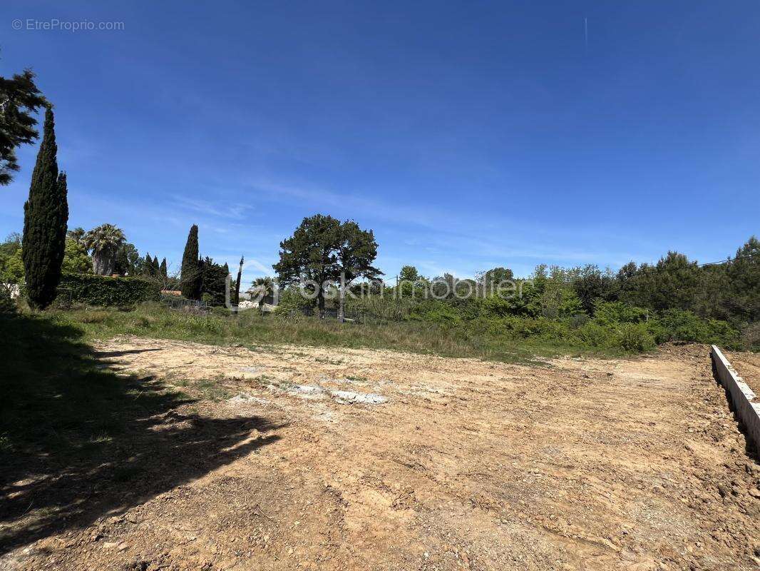 Terrain à PERPIGNAN