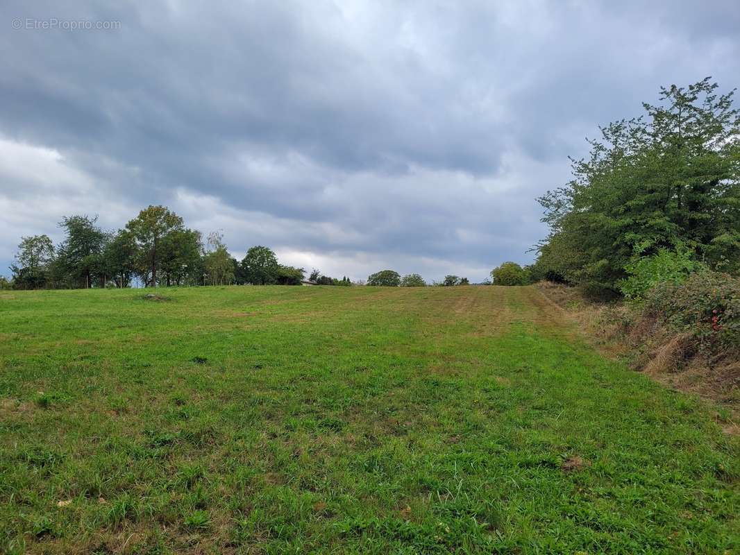 Terrain de 52 ares constructible - MARMOUTIER - photo 4