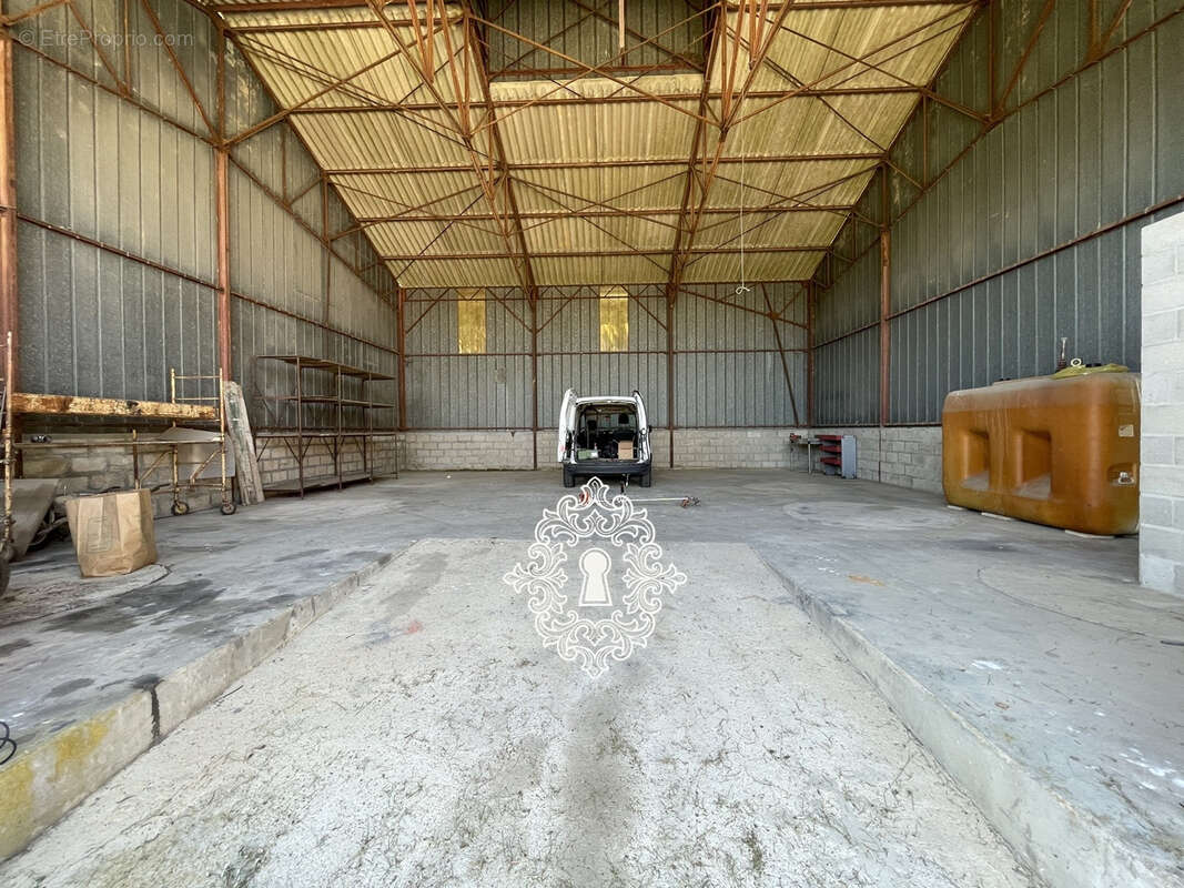 Région Sergines - photo 19