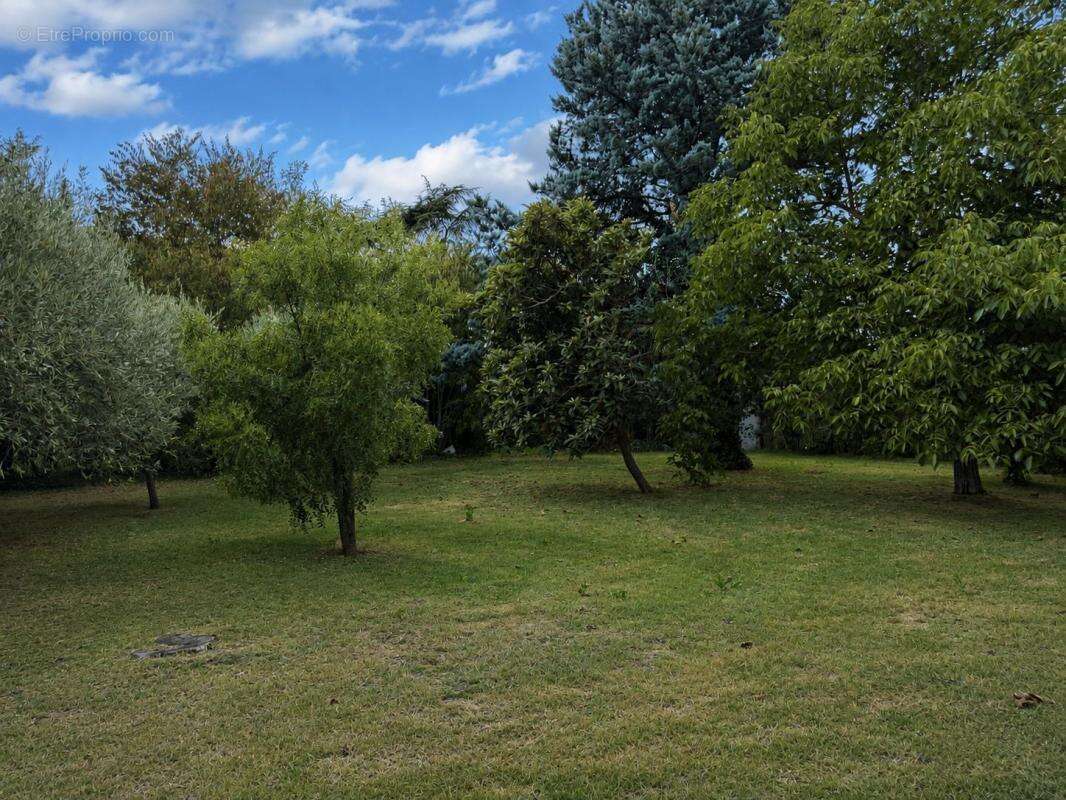 Maison À Vendre - photo 13