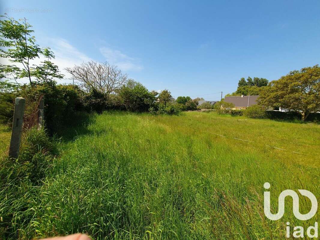 Photo 4 - Terrain à LINGREVILLE