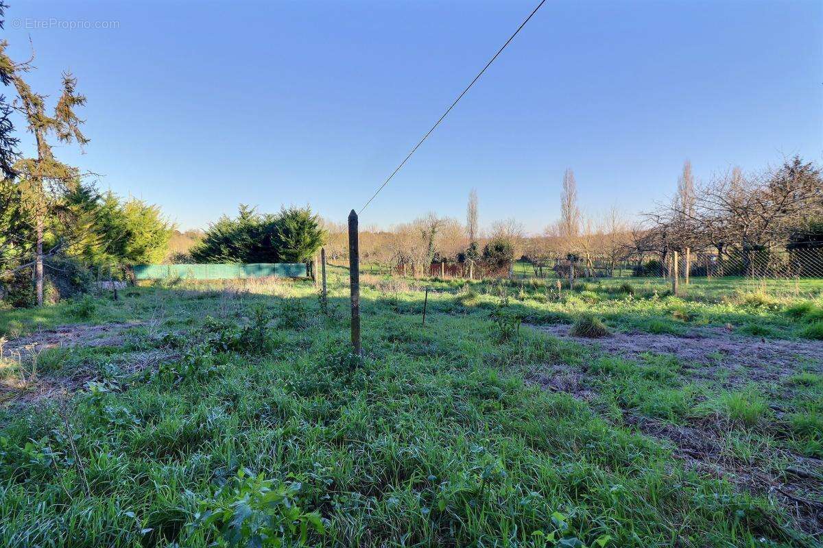 Maison à CHAILLE-LES-MARAIS