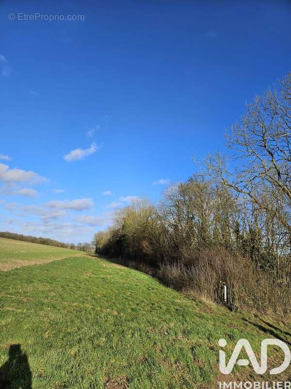 Photo 2 - Terrain à COURCELLES-SOUS-THOIX