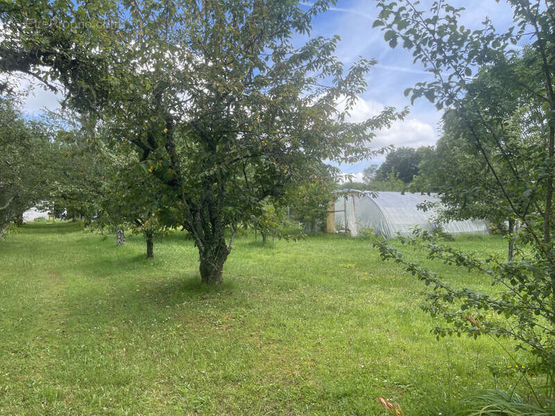 Maison à ARCES-DILO