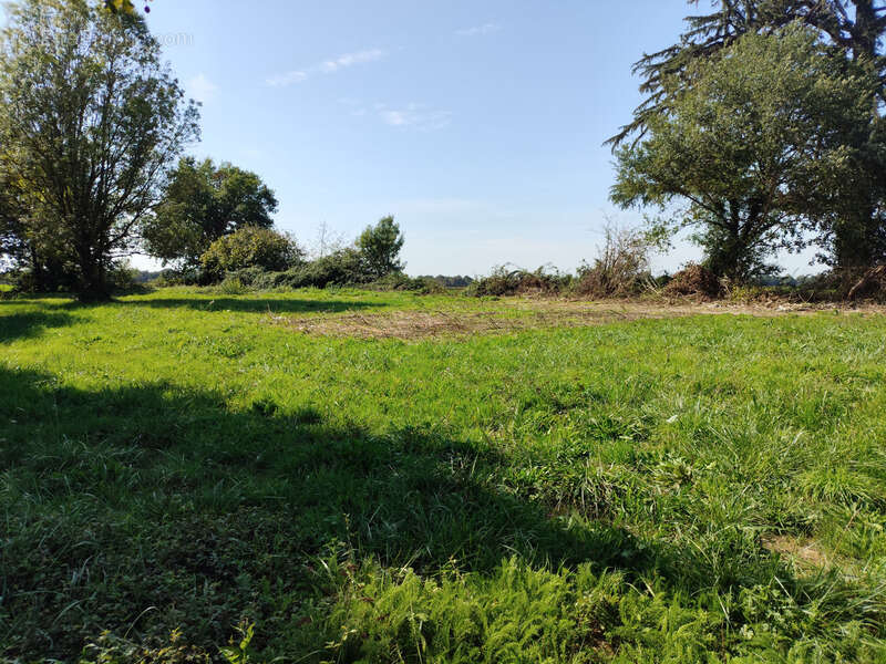 Terrain à TESSON