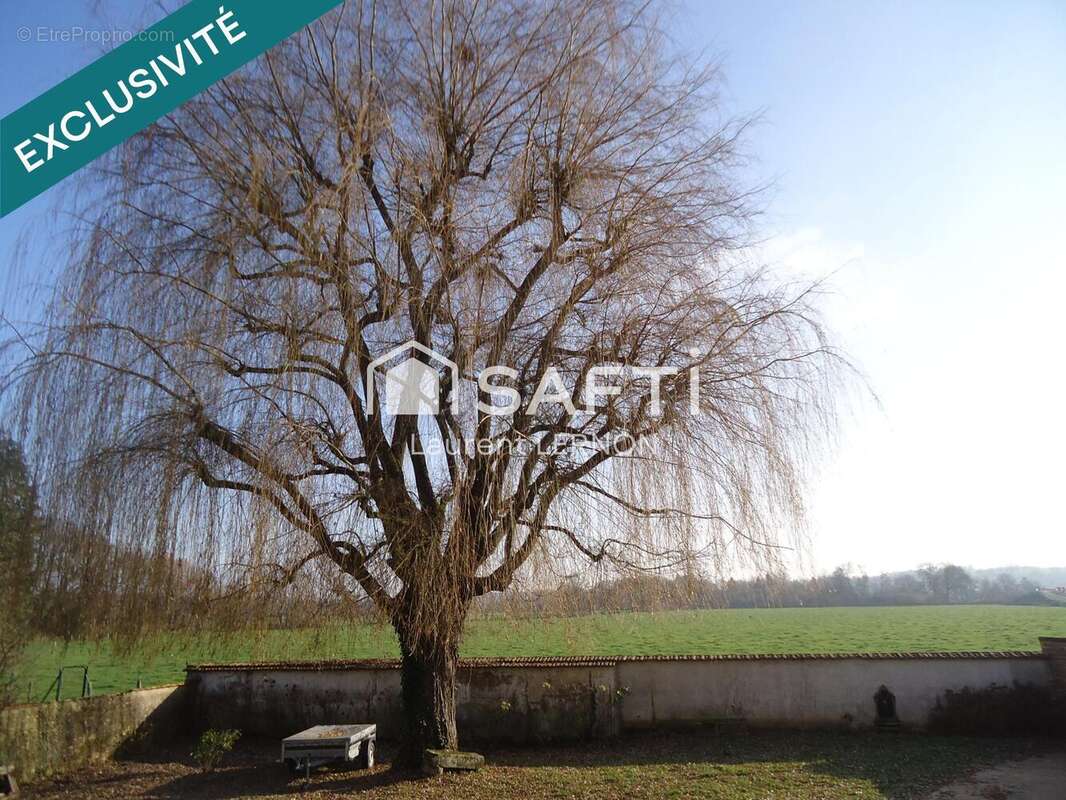 Photo 2 - Maison à SCEY-SUR-SAONE-ET-SAINT-ALBIN