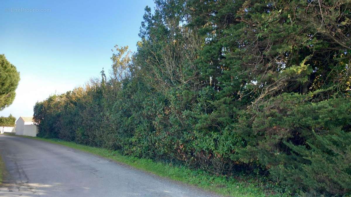 Terrain à SAINT-GEORGES-D&#039;OLERON