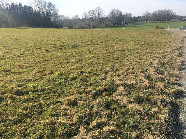 Terrain à MAGNAC-BOURG