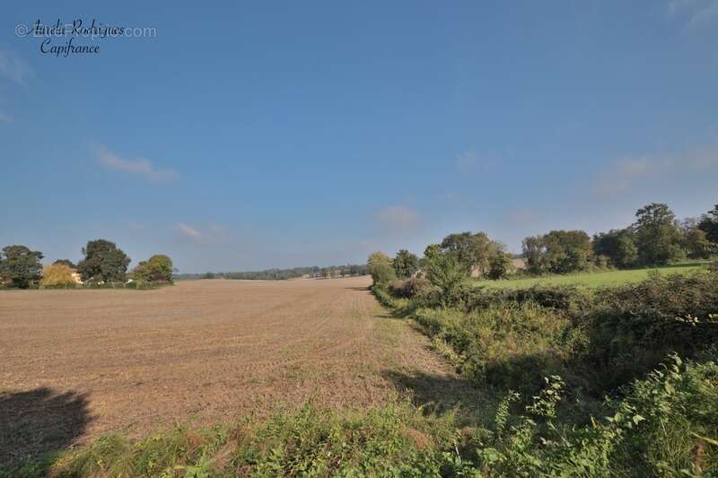 Maison à SAINT-CYR-SUR-MENTHON