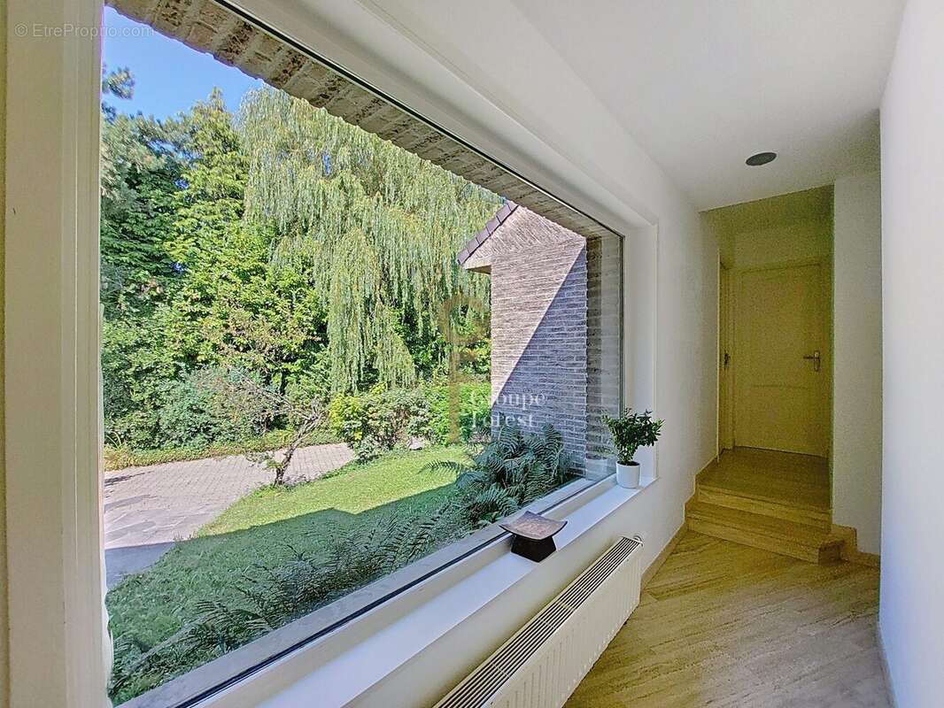 Maison 205 m² à Wervicq-Sud  - photo 6