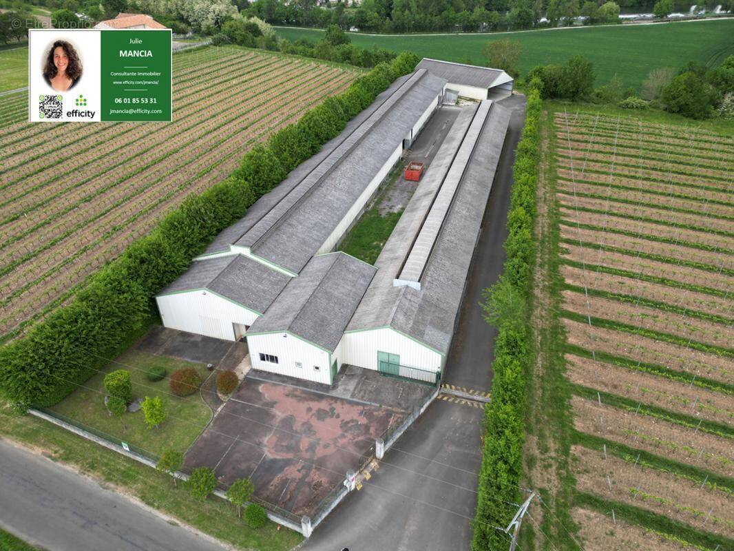 Commerce à ANGOULEME