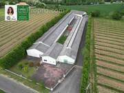 Commerce à ANGOULEME