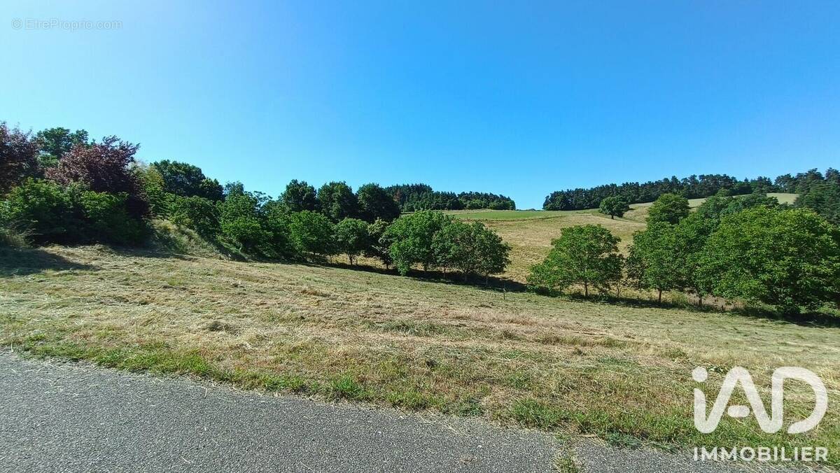 Photo 1 - Terrain à BEAUZAC