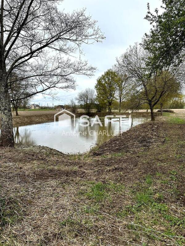 Photo 1 - Terrain à SAULNAY