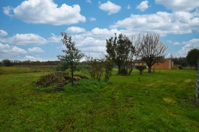 Terrain à SAINT-ANDRE-DE-CUBZAC