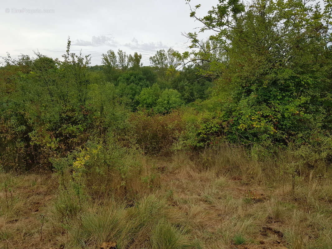 Terrain à VEZENOBRES