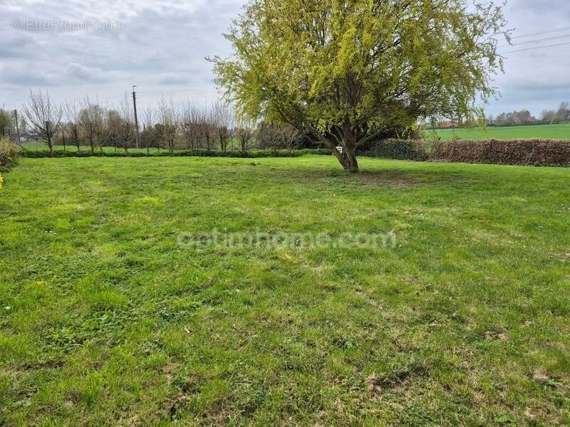 Maison à WERVICQ-SUD