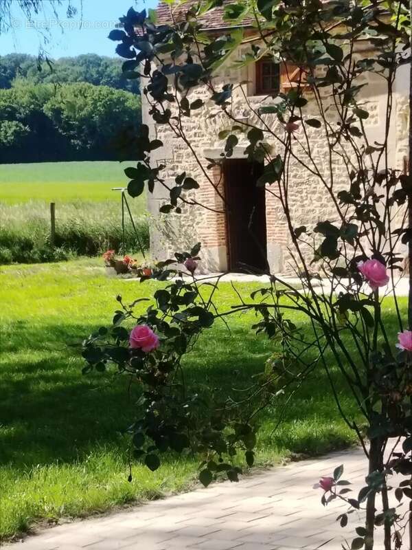 À vendre longère terrain 1,8 ha St-Malo-en-Donziois - photo 61