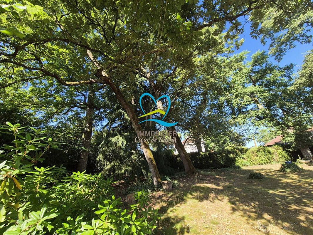 Terrain à LANTON