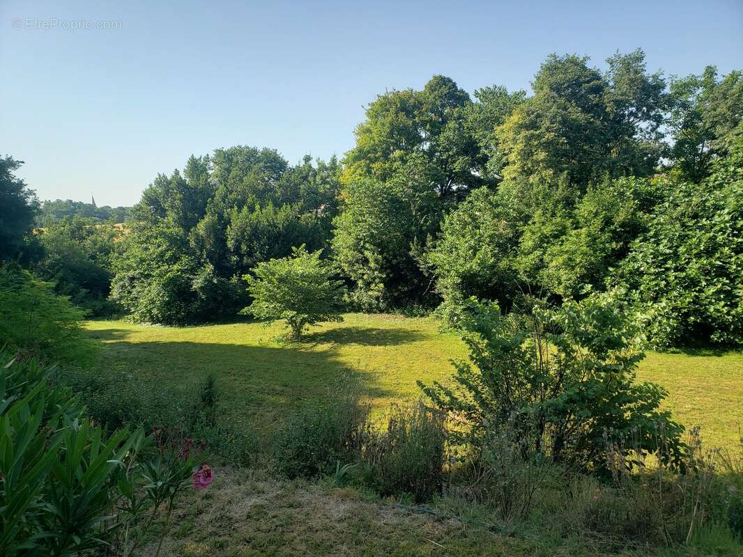  Maison de Maitre - photo 19