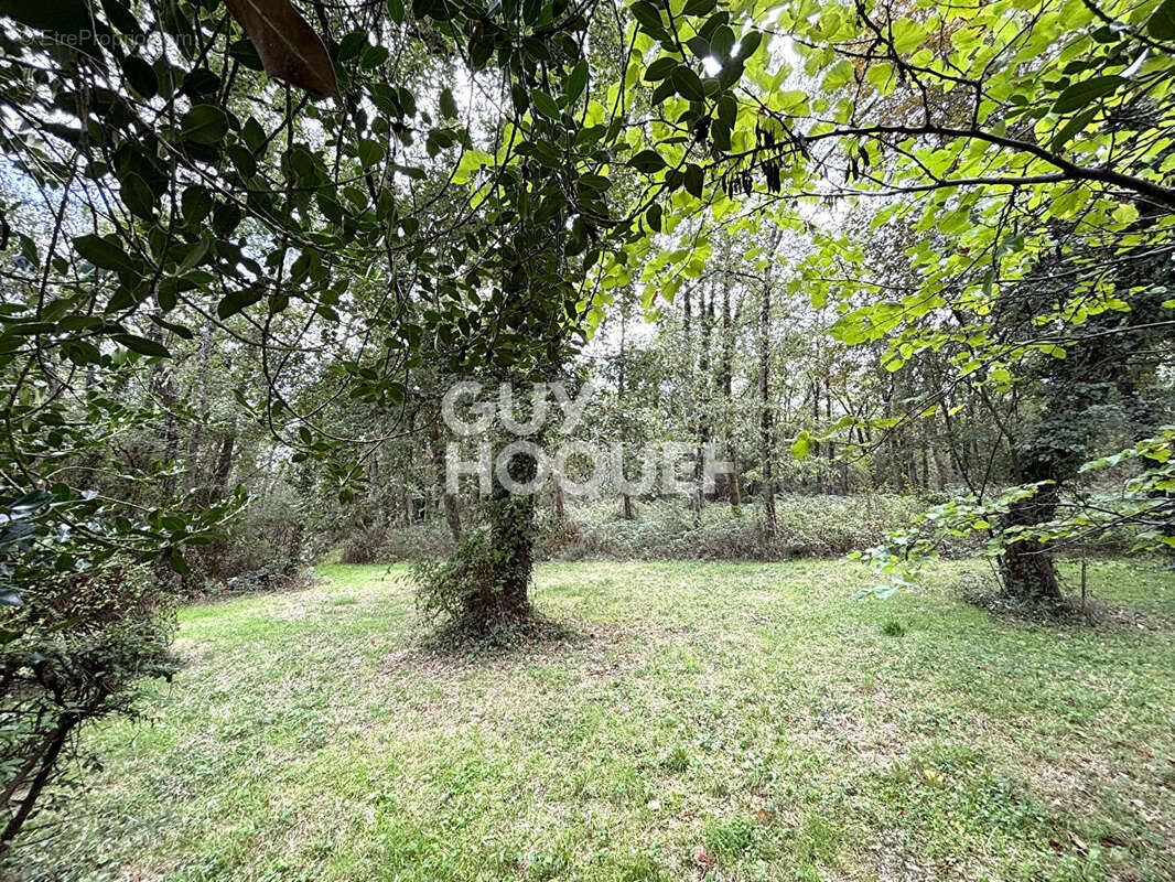 Maison à TOURNEFEUILLE