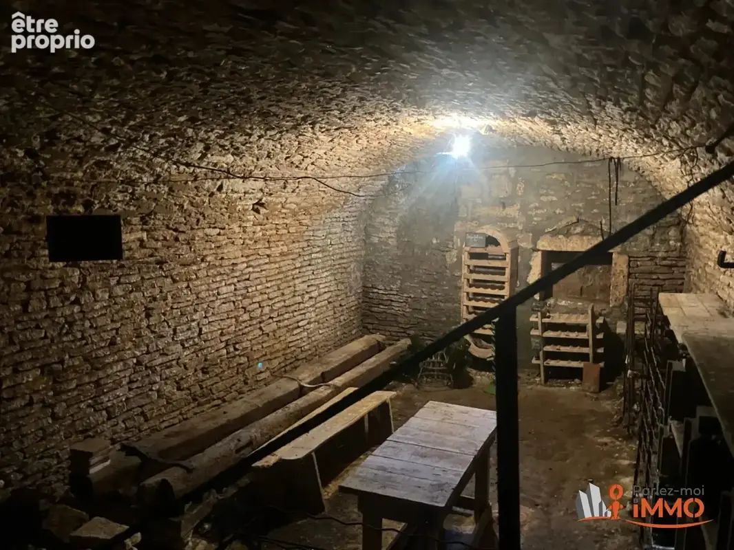 Propriété avec 2 maisons dont 1à terminer de rénover, terrai - photo 15