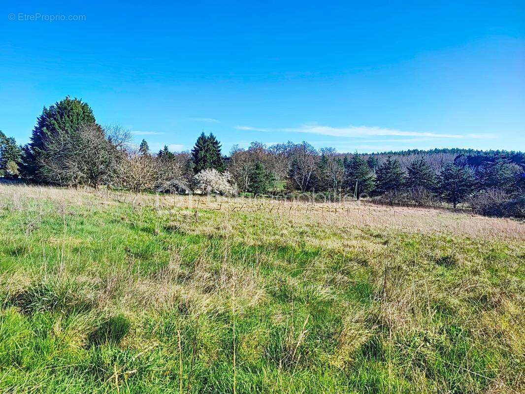 Maison rénovée avec terrain personnalisable – Jusqu'à 1,18 hectare disponible - photo 9