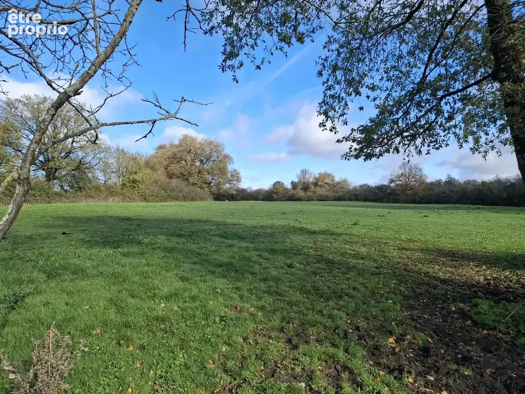 Charmante propriété équestre avec carrière en sable, granges, piscine et plus de 4 hectares de terrain - photo 21
