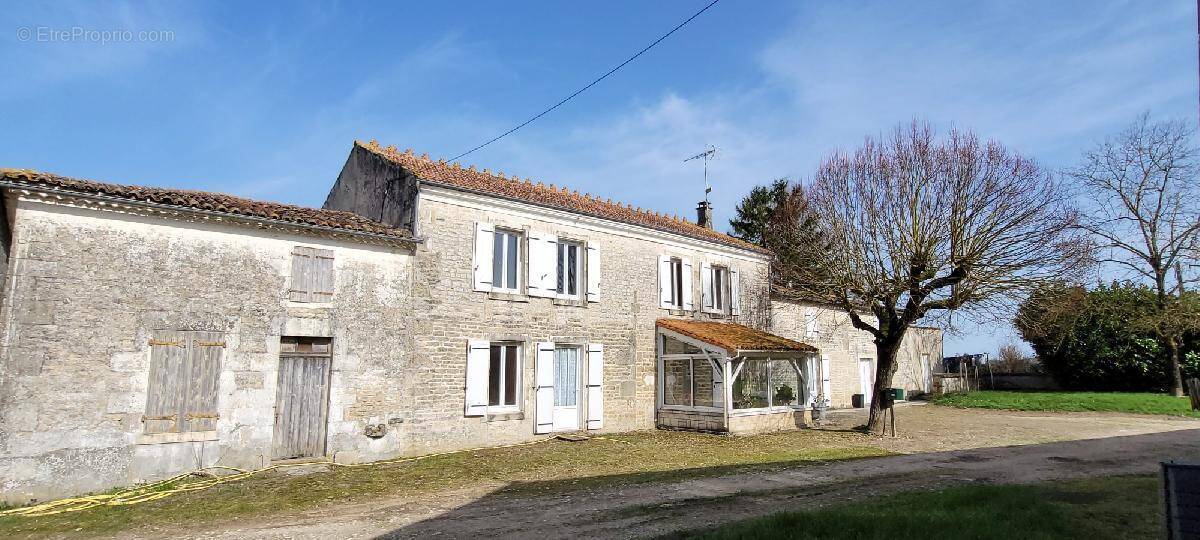 Maison à PAILLE