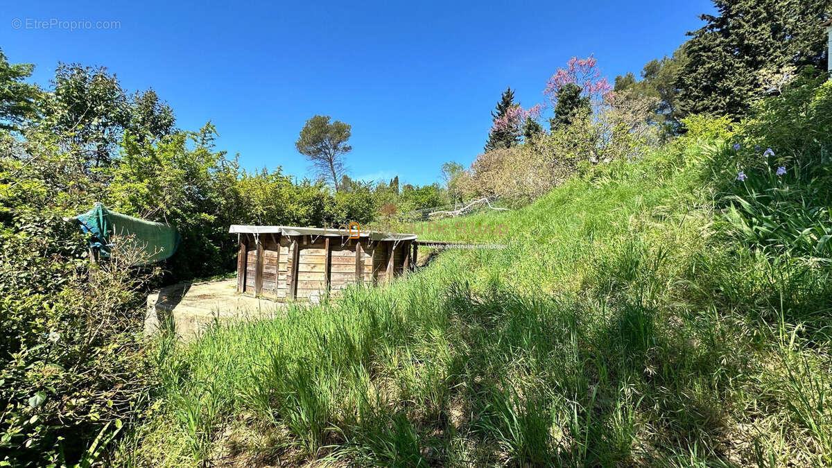 Terrain à MONTFERRIER-SUR-LEZ