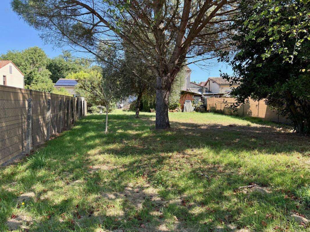 Commerce à LAMOTHE-CAPDEVILLE