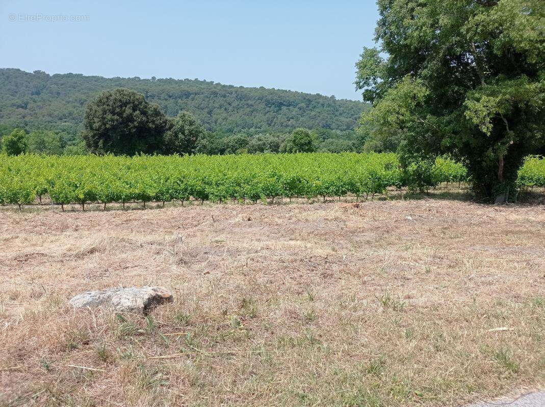 Terrain à SABRAN
