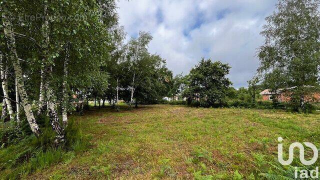 Photo 1 - Terrain à MIOS