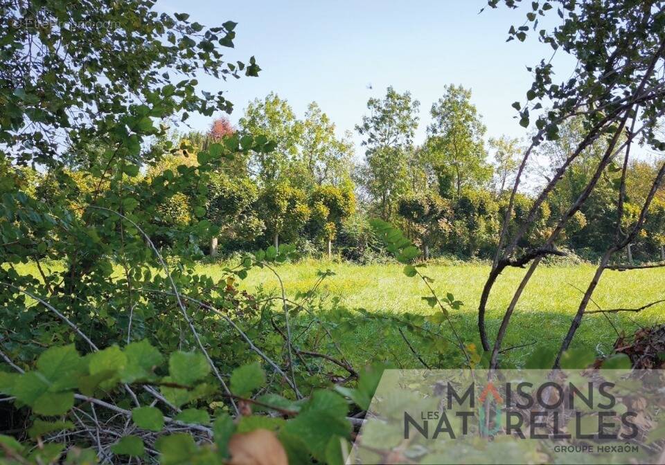 Terrain à MARCONNELLE