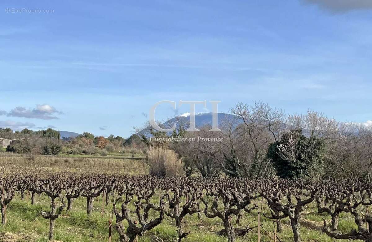 Maison à VAISON-LA-ROMAINE