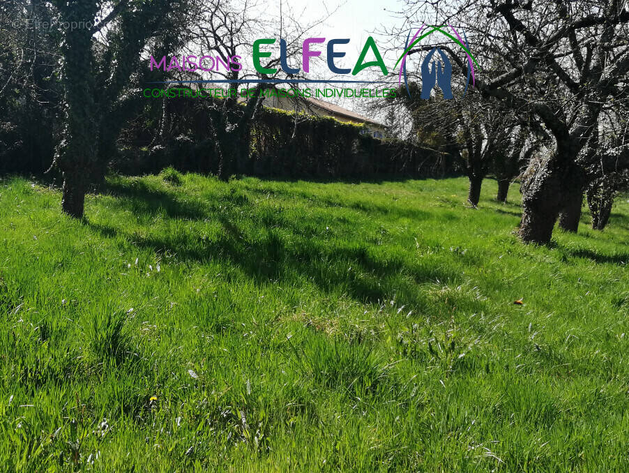 Terrain à LENS-LESTANG