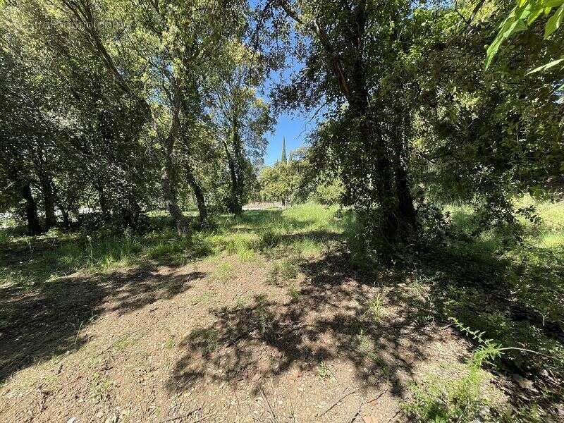 Terrain à LES CLUSES