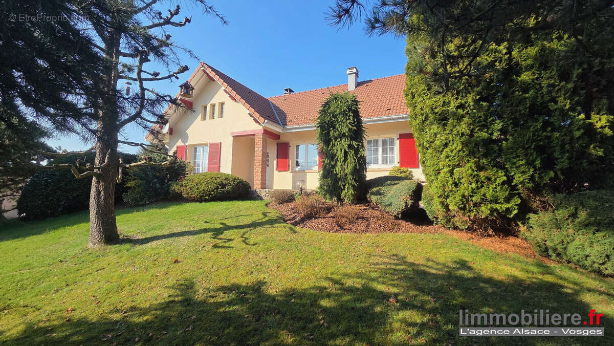 Maison 98 m² à Ban-De-Laveline  - photo 3